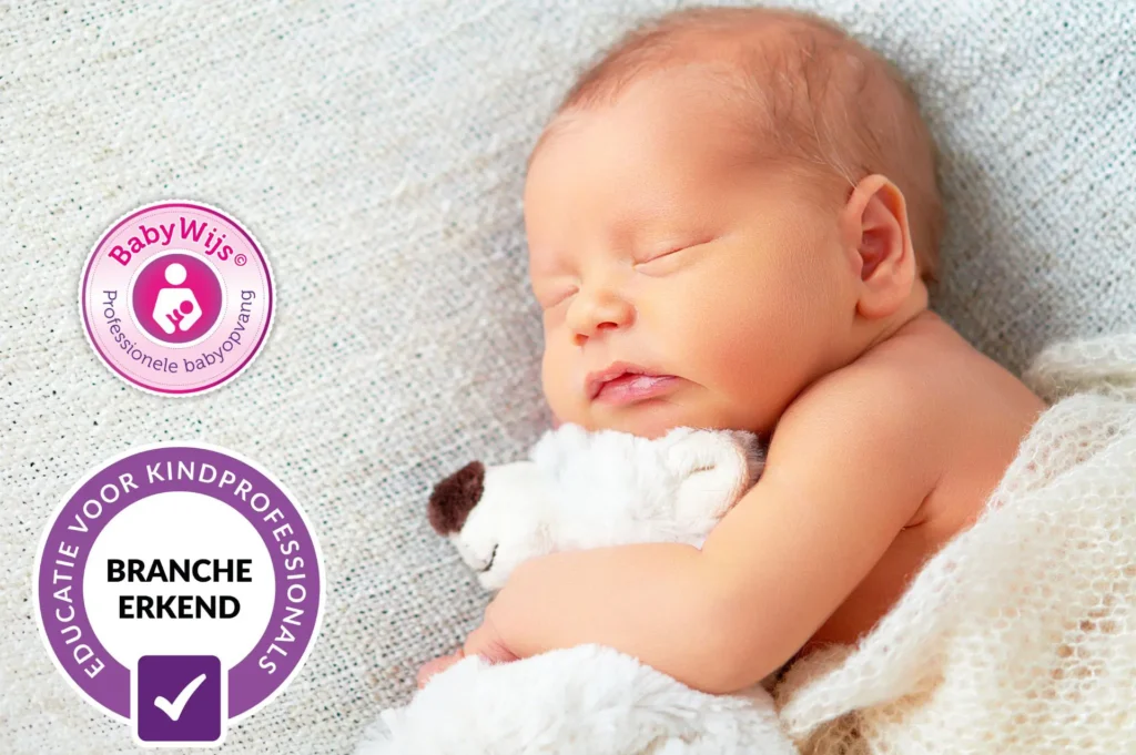 branche erkende babywijs